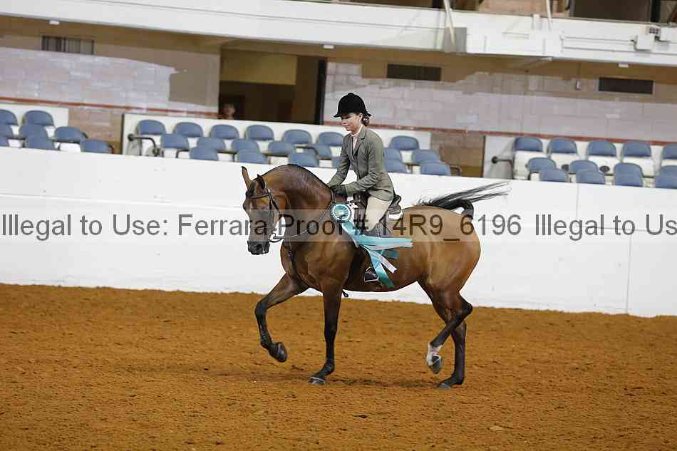 Proof Number 14r9_6196