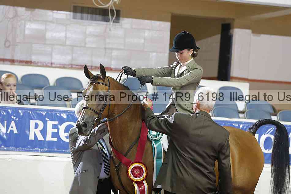 Proof Number 14r9_6198