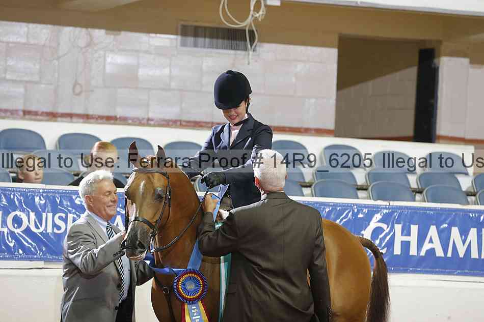 Proof Number 14r9_6205