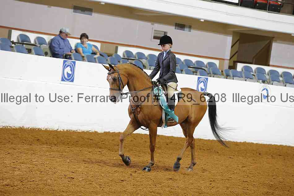 Proof Number 14r9_6208