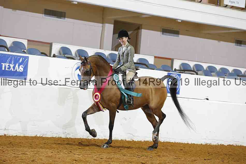 Proof Number 14r9_6219