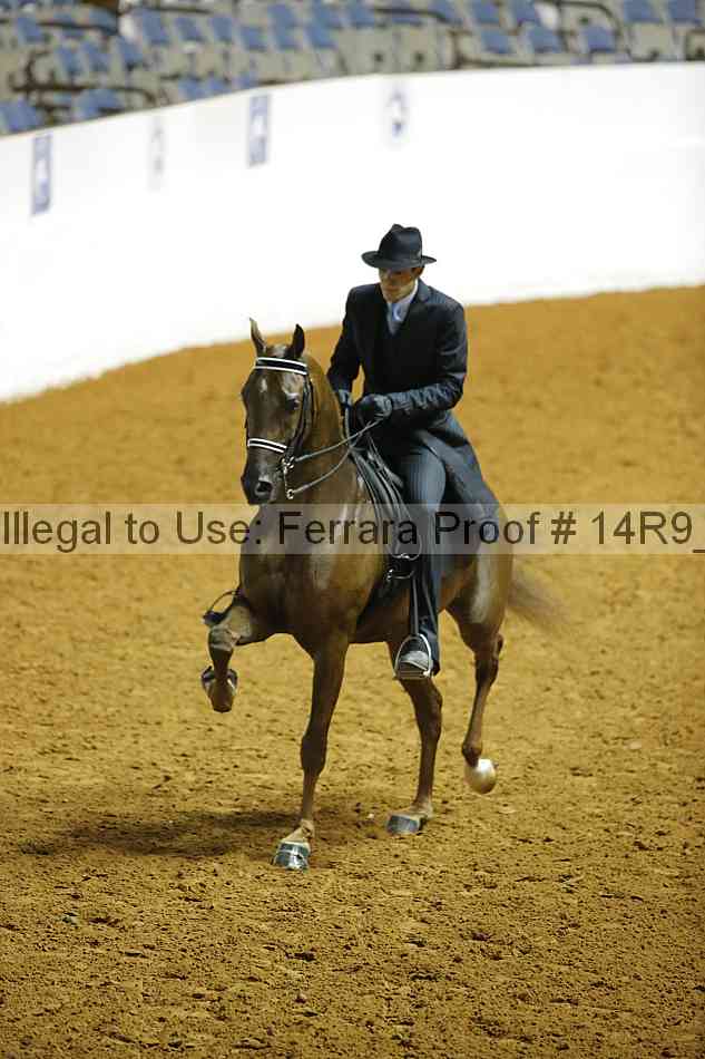 Proof Number 14r9_6254