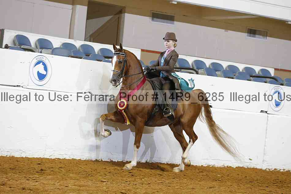 Proof Number 14r9_6285