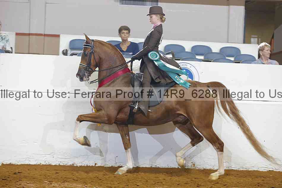 Proof Number 14r9_6288
