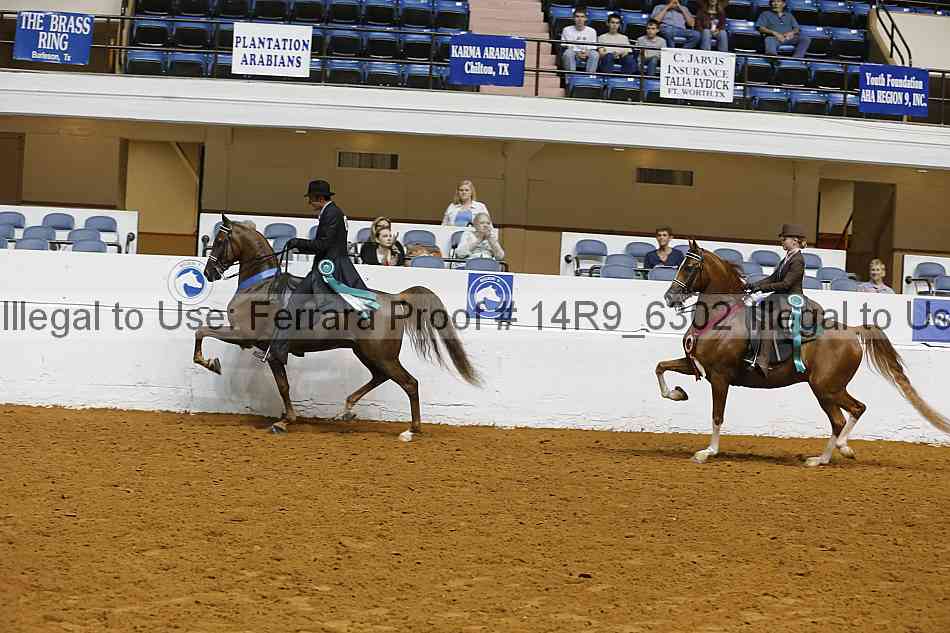 Proof Number 14r9_6302