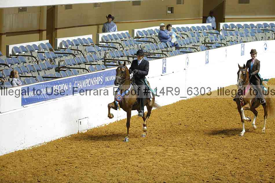 Proof Number 14r9_6303