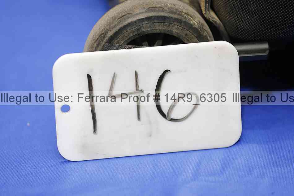 Proof Number 14r9_6305