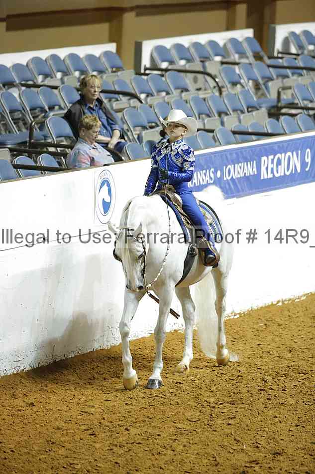 Proof Number 14r9_6334