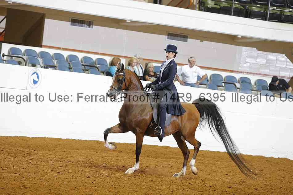 Proof Number 14r9_6395