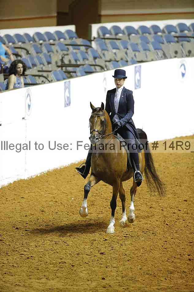 Proof Number 14r9_6397