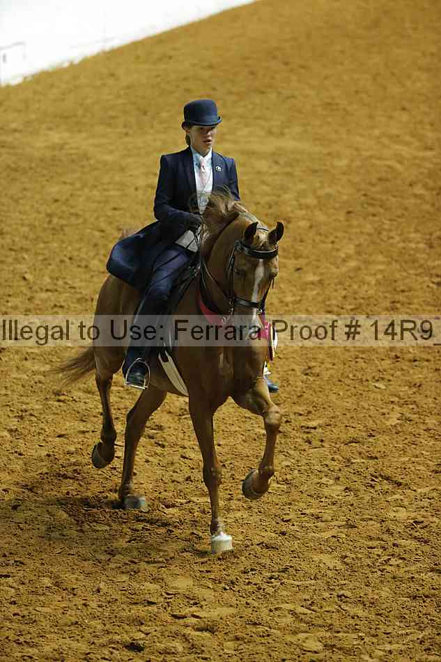 Proof Number 14r9_6409