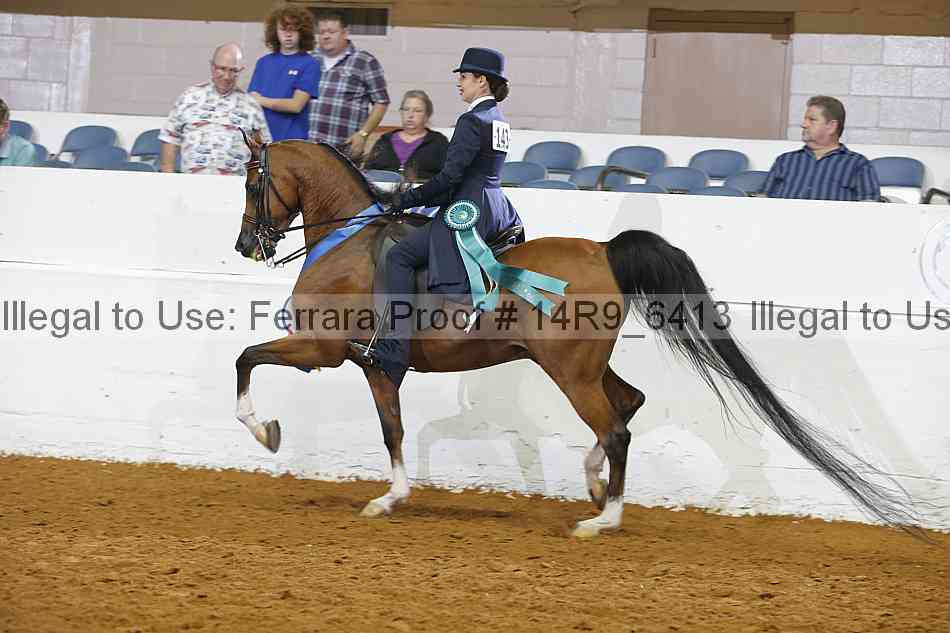 Proof Number 14r9_6413