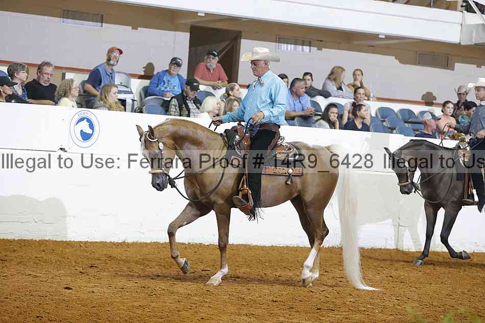 Proof Number 14r9_6428