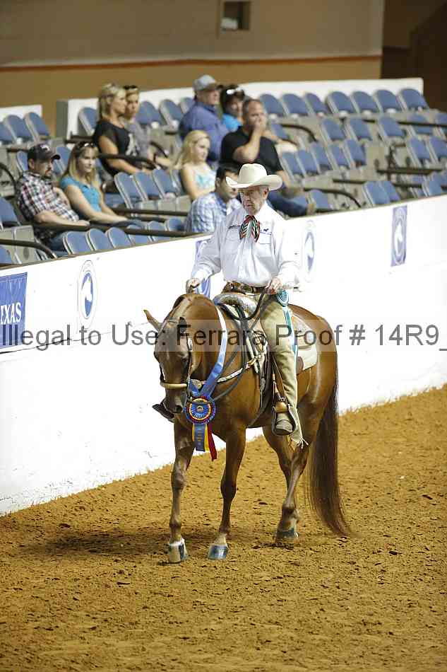 Proof Number 14r9_6470