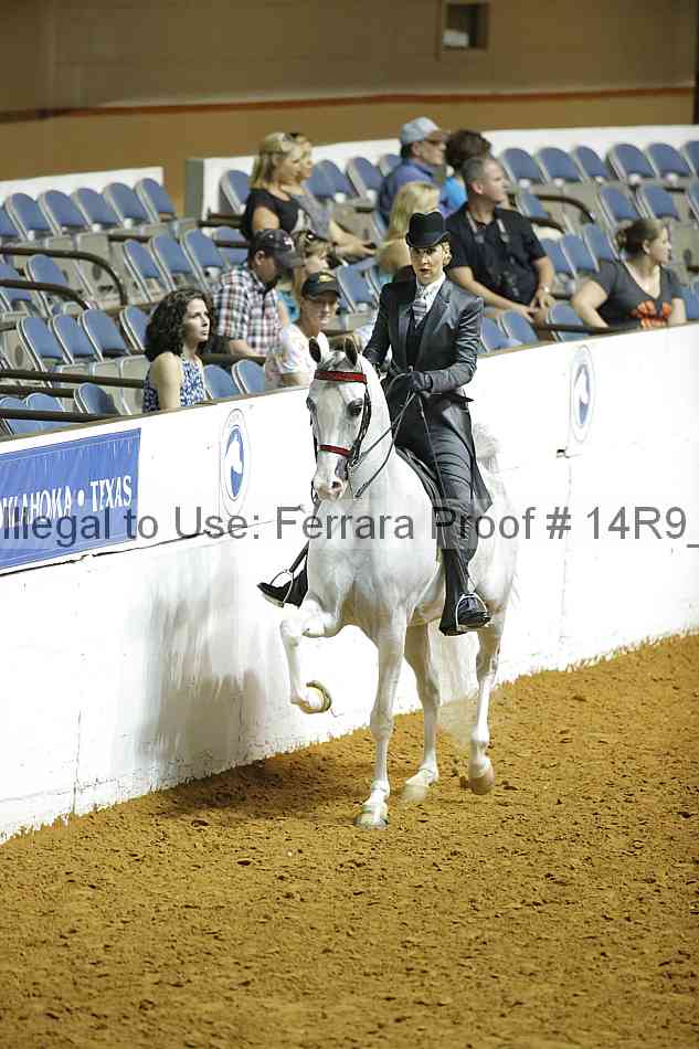 Proof Number 14r9_6504
