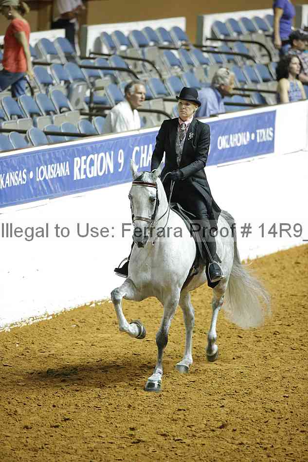 Proof Number 14r9_6511