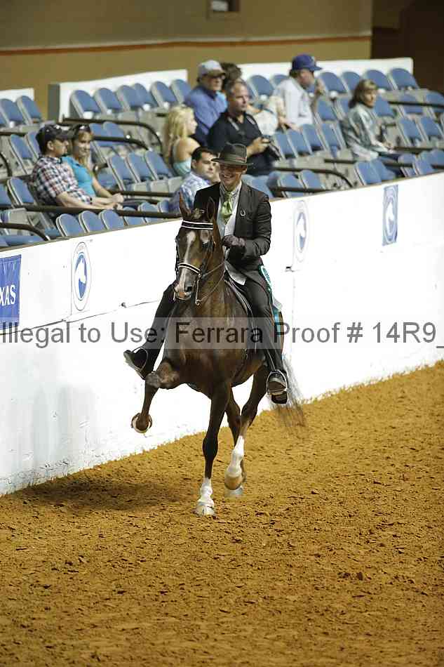 Proof Number 14r9_6535