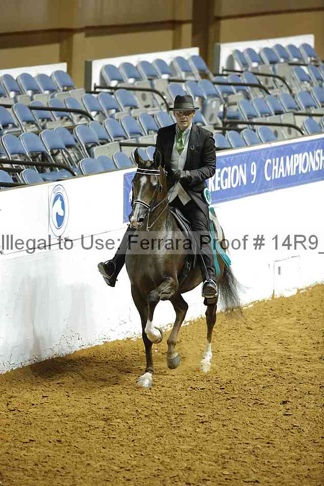 Proof Number 14r9_6538