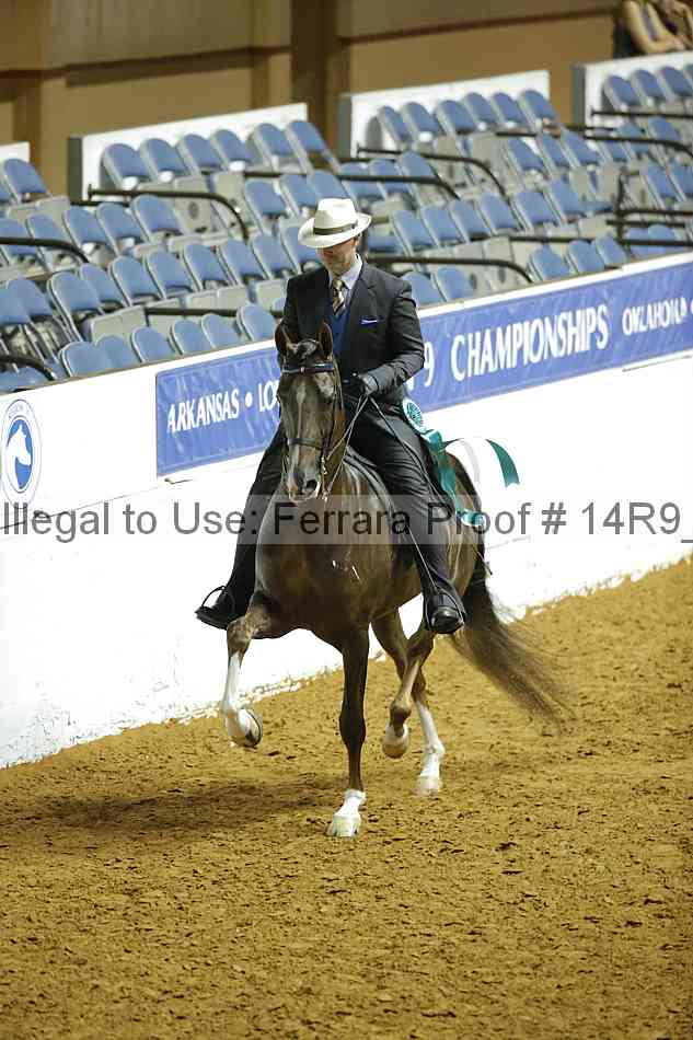 Proof Number 14r9_6541