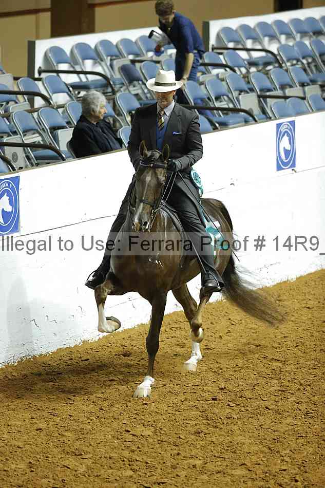 Proof Number 14r9_6542