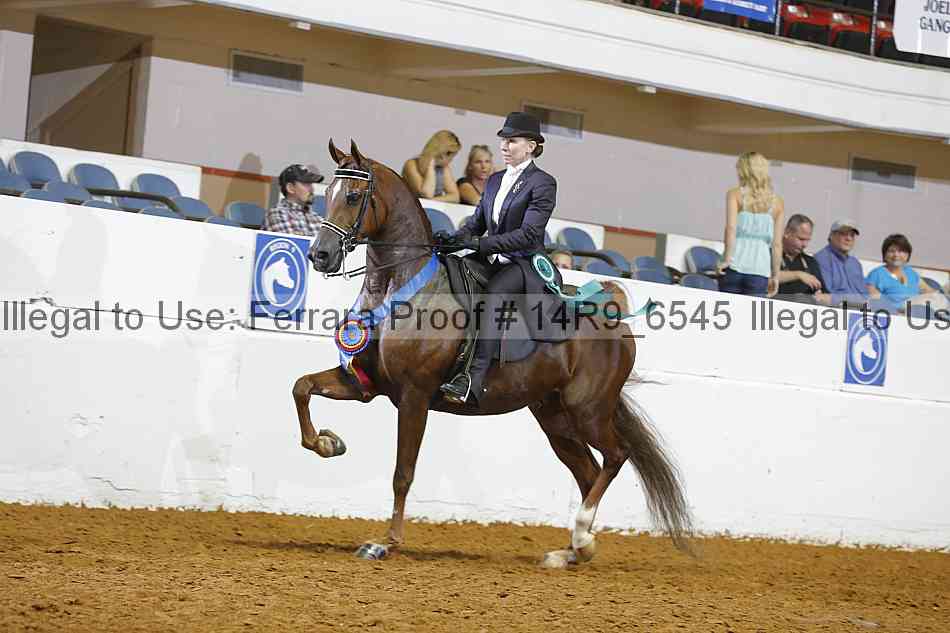 Proof Number 14r9_6545