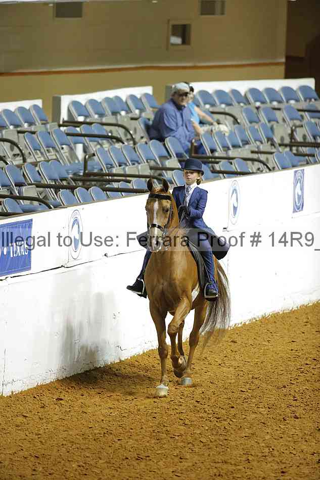 Proof Number 14r9_6595
