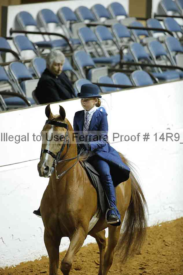 Proof Number 14r9_6596