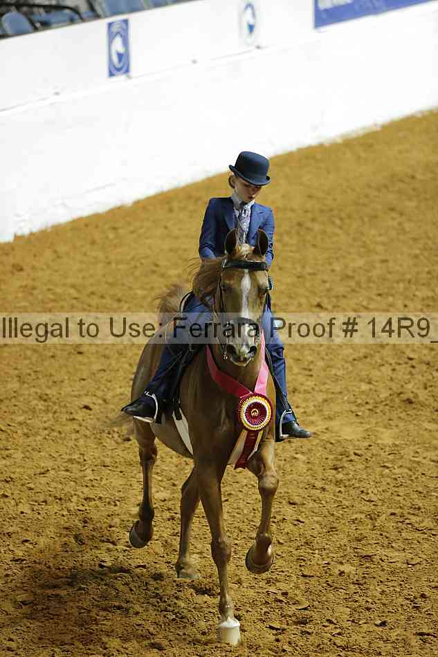 Proof Number 14r9_6611