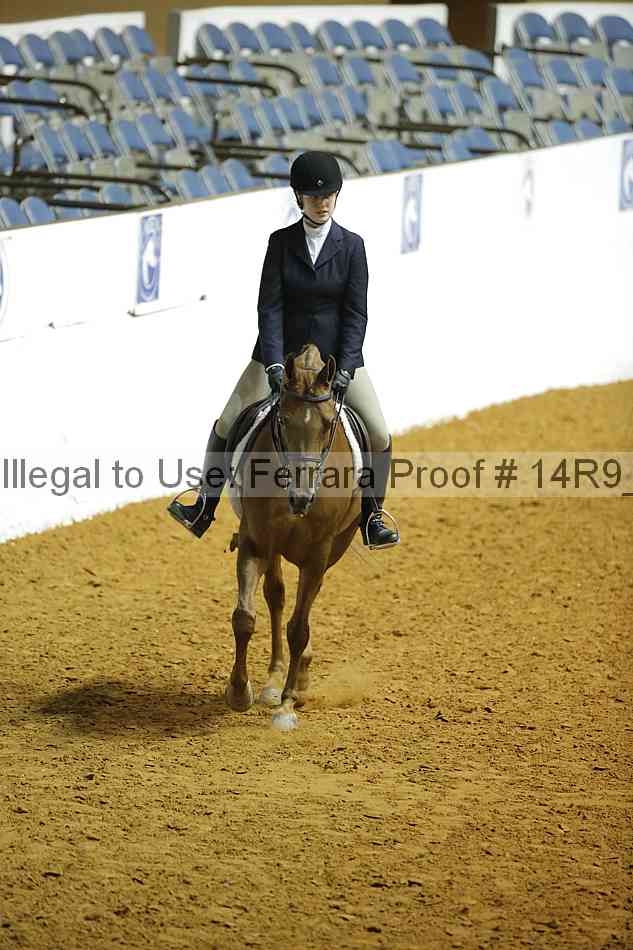 Proof Number 14r9_6633