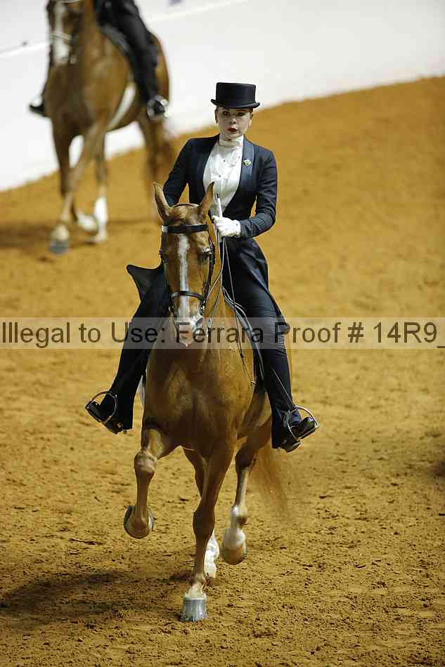 Proof Number 14r9_6862