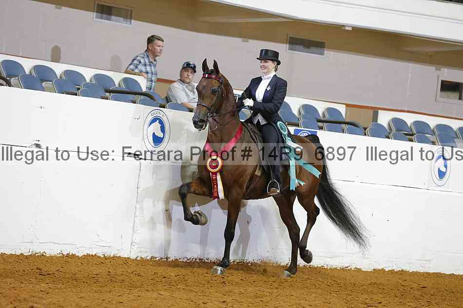 Proof Number 14r9_6897