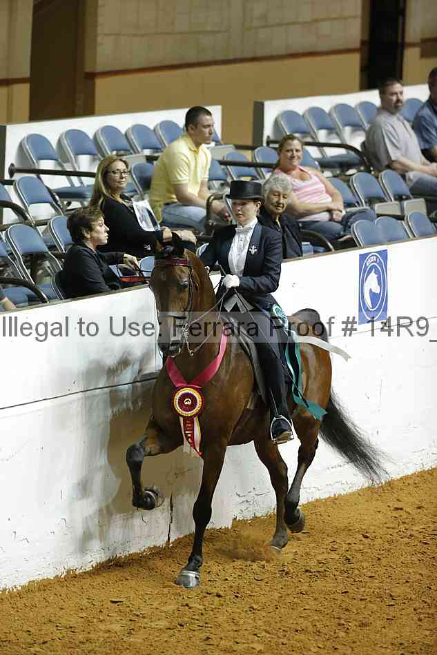 Proof Number 14r9_6902