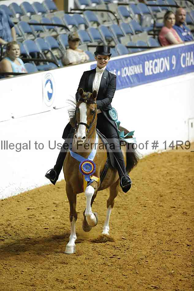Proof Number 14r9_6907