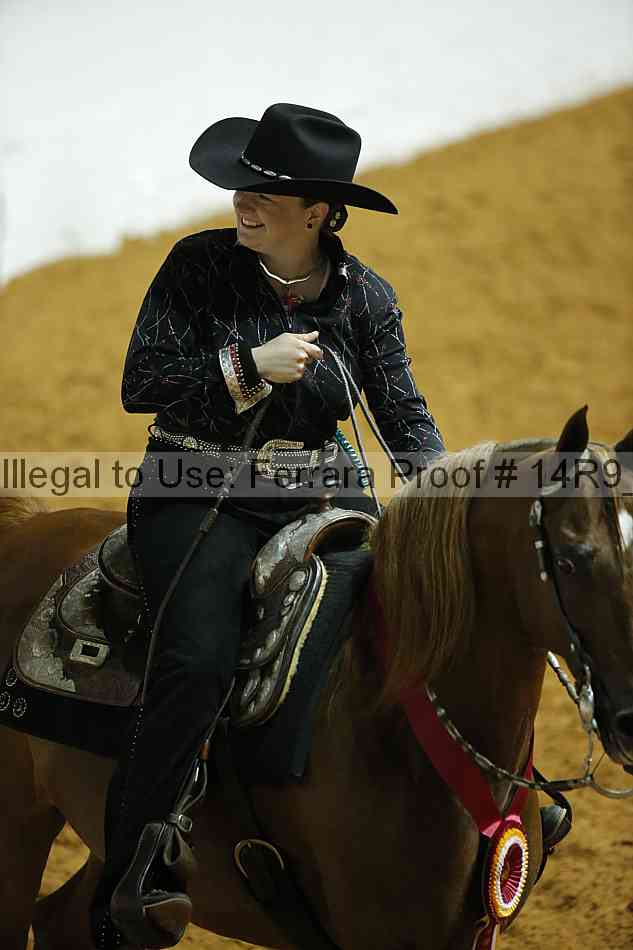 Proof Number 14r9_6934