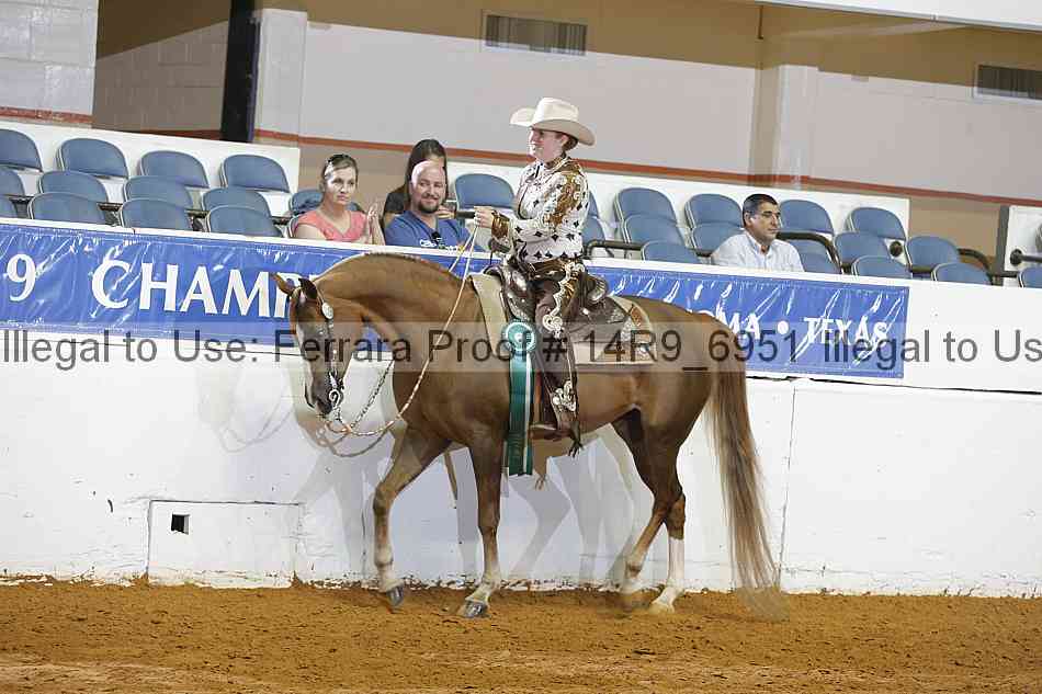Proof Number 14r9_6951