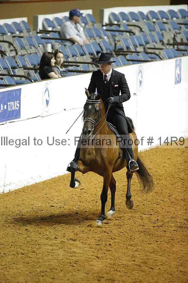Proof Number 14r9_6976