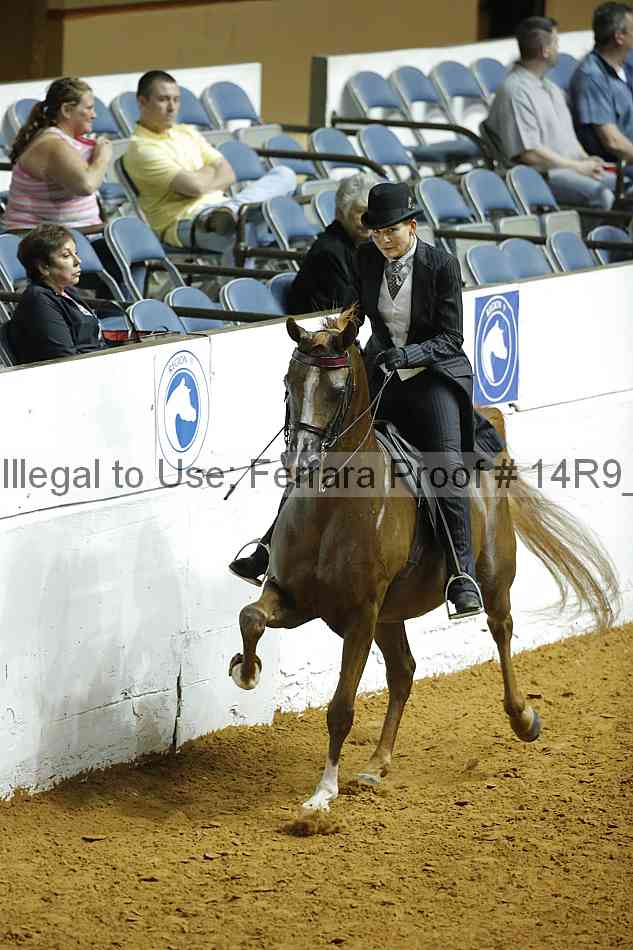 Proof Number 14r9_6987