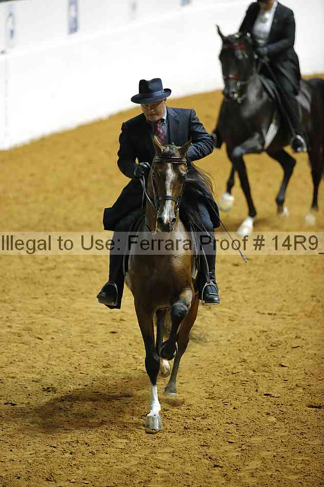 Proof Number 14r9_6992