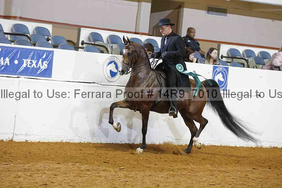 Proof Number 14r9_7010