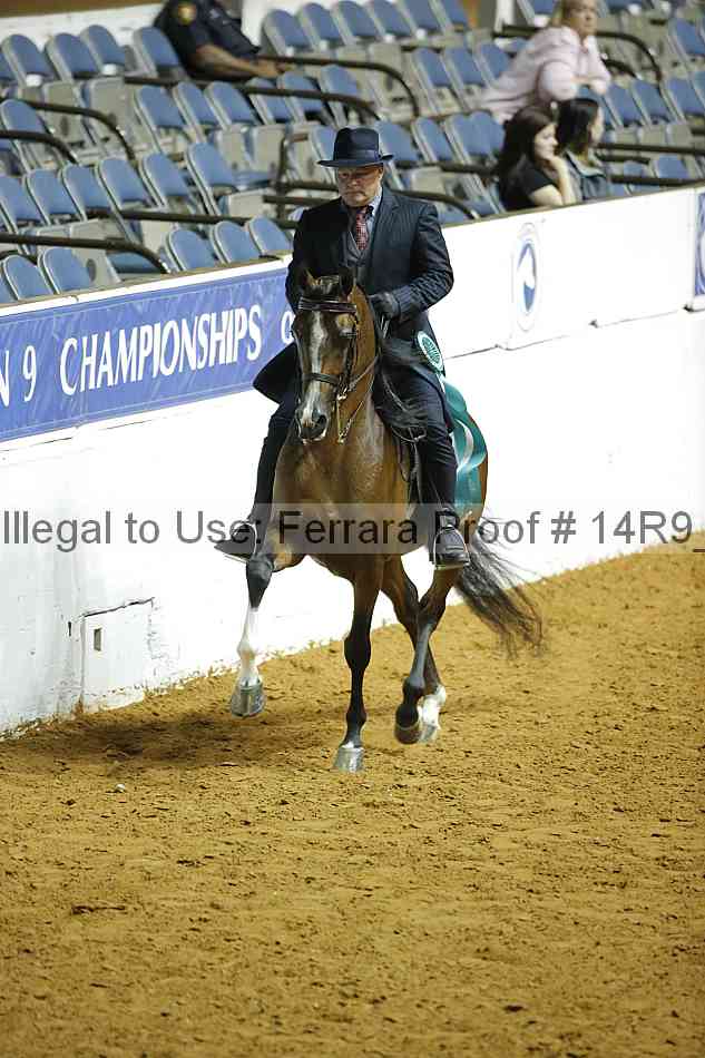 Proof Number 14r9_7021
