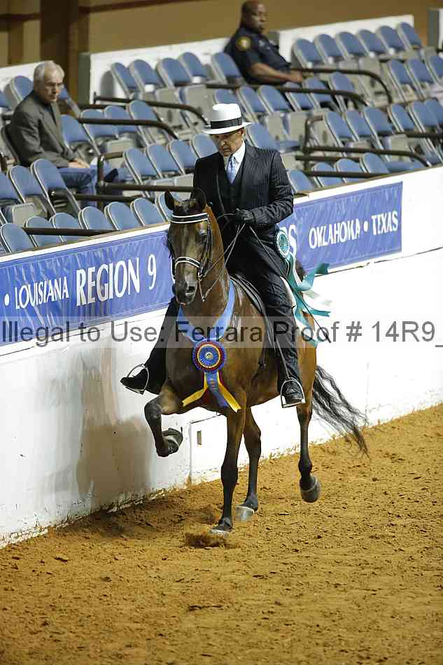 Proof Number 14r9_7033