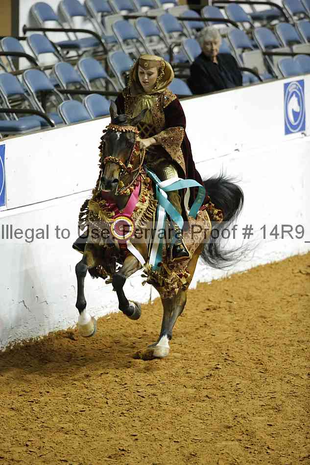 Proof Number 14r9_7062