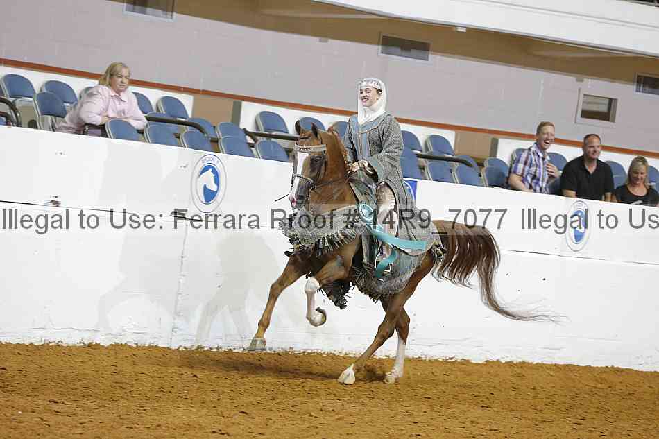 Proof Number 14r9_7077