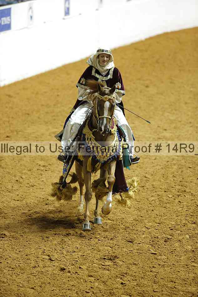 Proof Number 14r9_7081