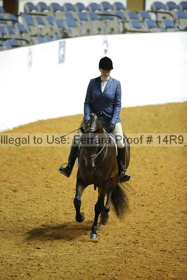 Proof Number 14r9_7102