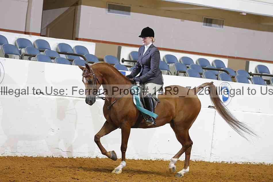 Proof Number 14r9_7126