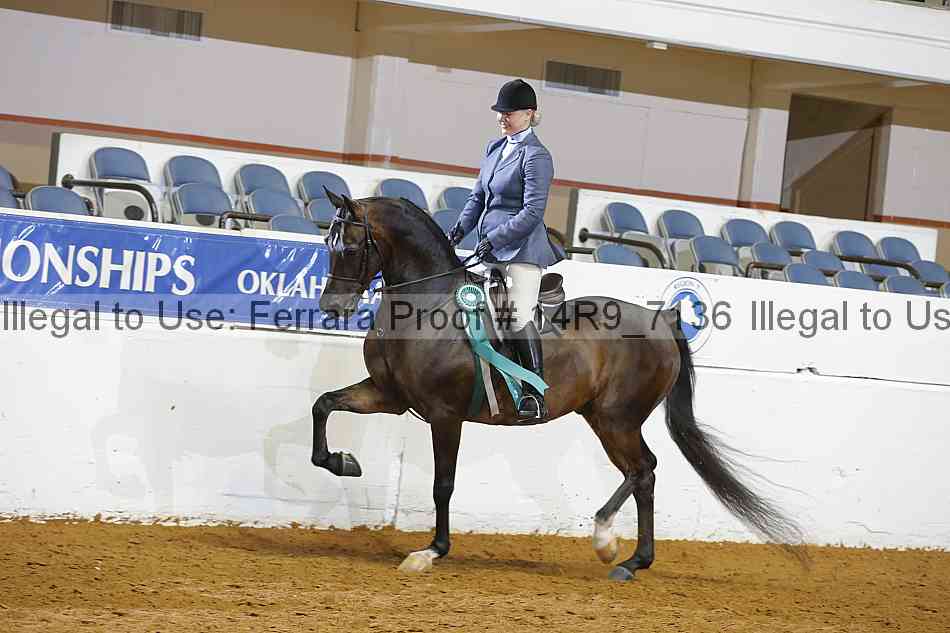 Proof Number 14r9_7136