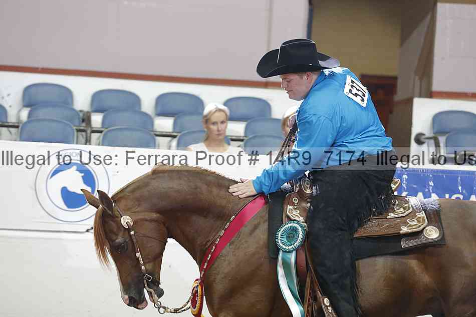 Proof Number 14r9_7174
