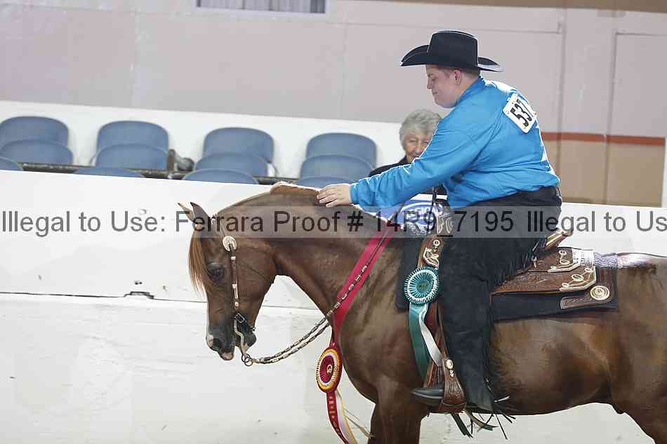 Proof Number 14r9_7195