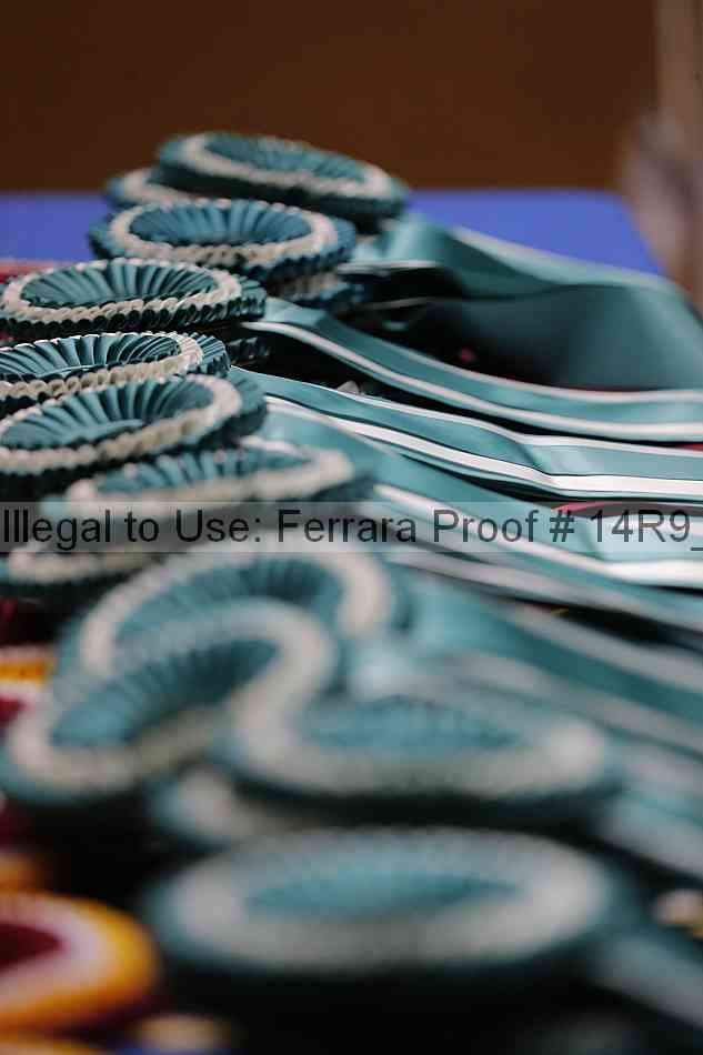 Proof Number 14r9_6728